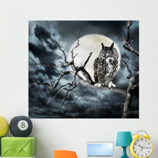 Owl on A Tree at Night