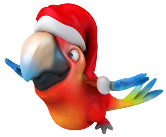 Parrot