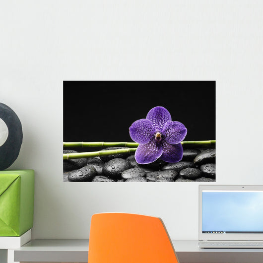 Single Purple Orchid with Bamboo Grove on Stones Wall Mural