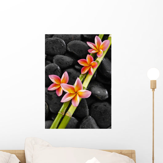 Set of Pink Frangipani with Bamboo Grove on Wet Black Stones