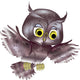 Baby Owl Wall Decal