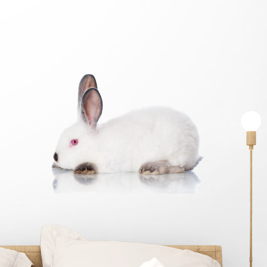 White Rabbit Wall Decal