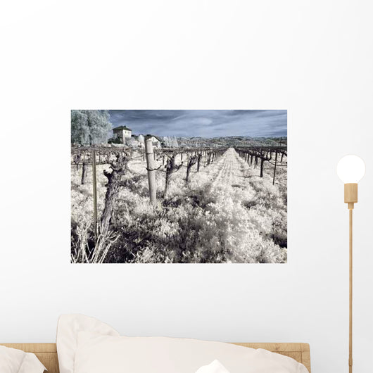 Napa Valley Vineyard Winter Wall Decal Design 2