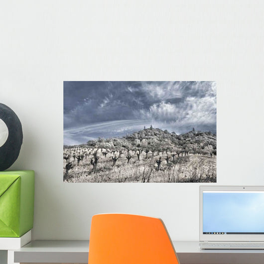 Napa Valley Vineyard Winter Wall Decal Design 1