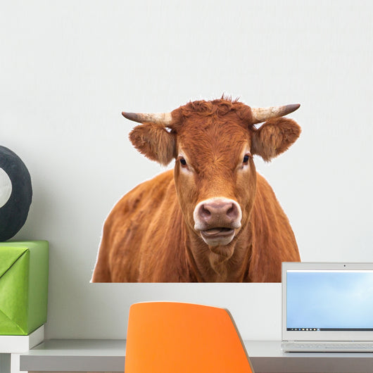 Portrait of a Cow Wall Decal