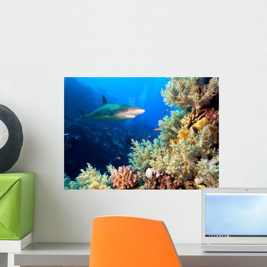 Underwater image of coral reef with shark and divers