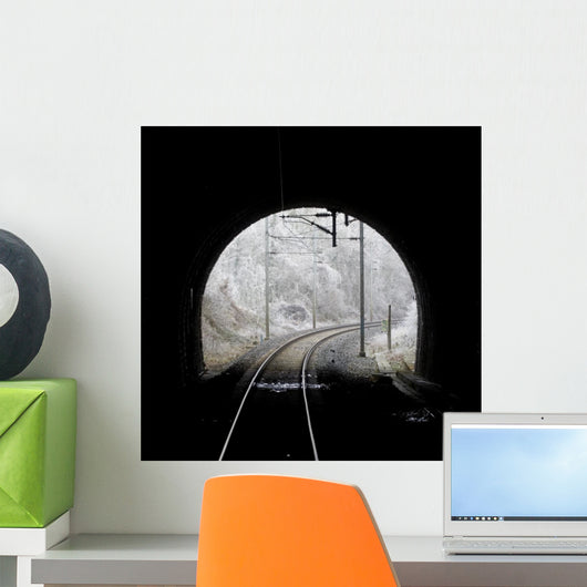tunnel train Wall Mural
