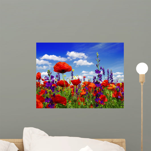 Summer Wildflowers and Clouds