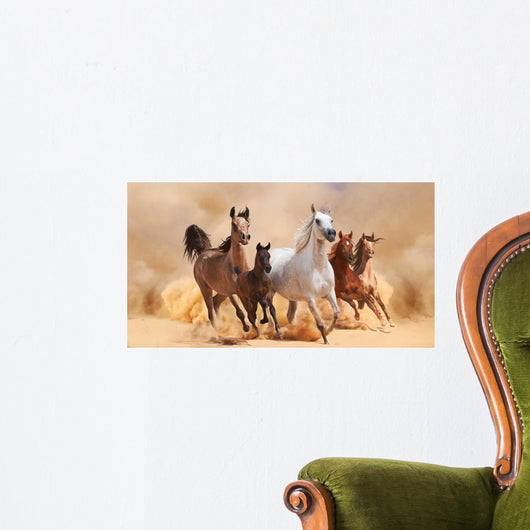 Horses in sand dust