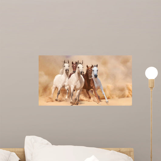 Horses in sand dust