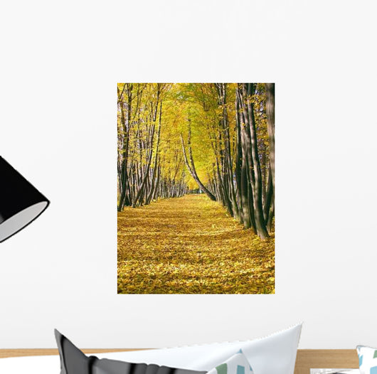 Olympus Digital Camera Wall Decal
