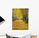 Olympus Digital Camera Wall Decal