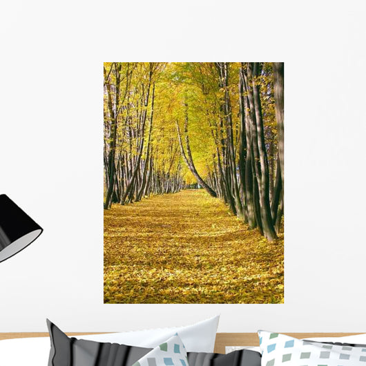 Olympus Digital Camera Wall Decal
