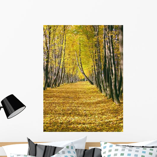 Olympus Digital Camera Wall Decal