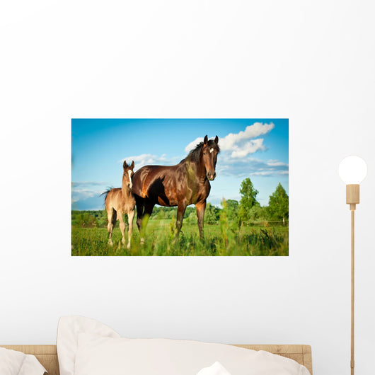 Bay Mare With Foal Standing