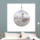 disco ball