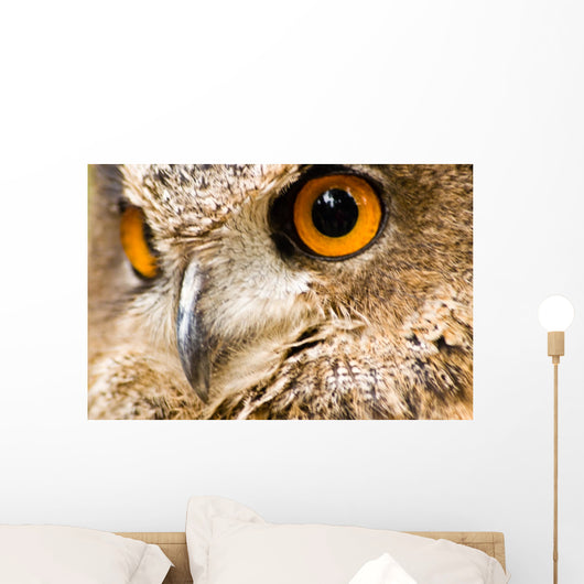 Eagle Owl - Bird of Prey Wall Mural