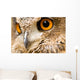 Eagle Owl - Bird of Prey Wall Mural
