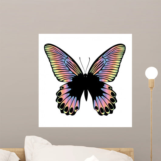 Beautiful Colorful Butterfly on White Background