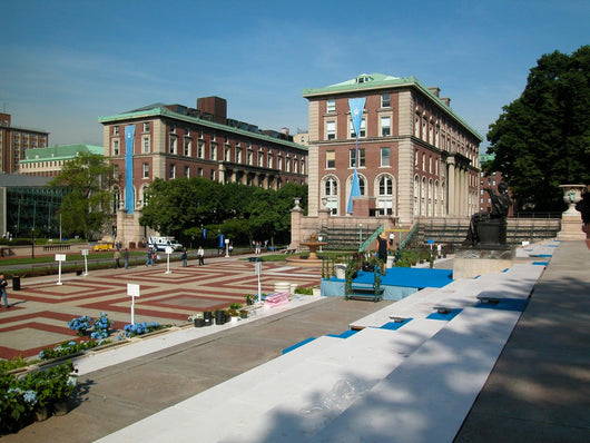 Columbia University New York City Wall Mural