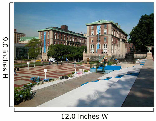 Columbia University New York City Wall Mural