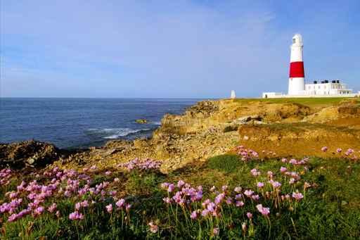 Portland Bill Lighthouse with Wall Decal