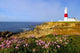 Portland Bill Lighthouse with Wall Decal