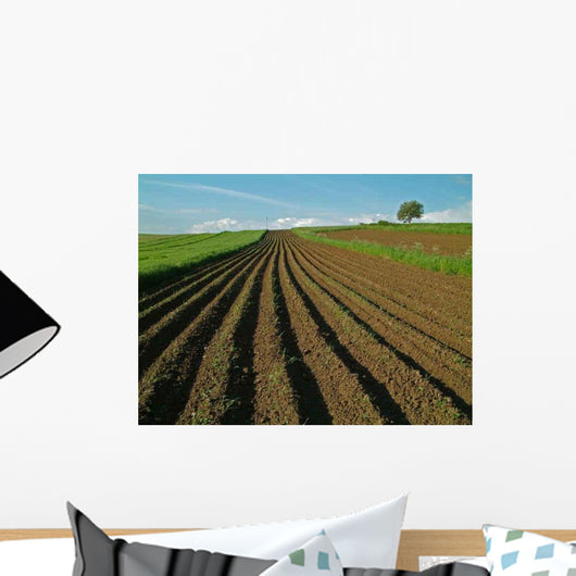 Arable Field Spring Wall Decal