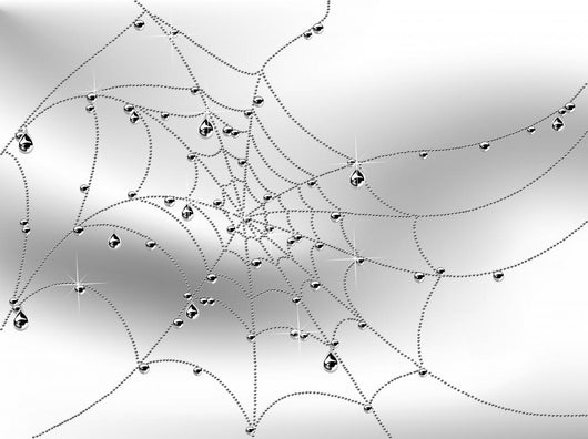 Spider web