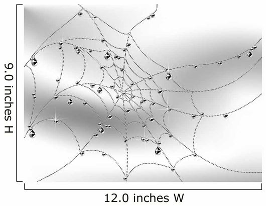 Spider web