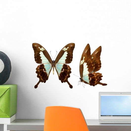 beautiful butterfly isolated on white Wall Mural