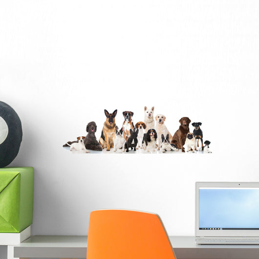 Different Pedigree Dogs