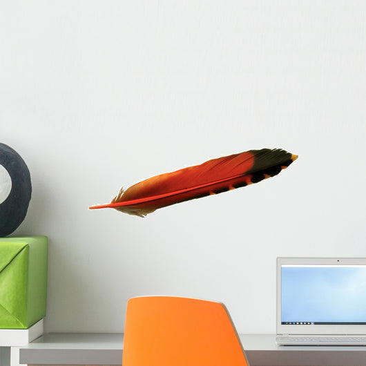 Orange Colored Feather of a Flicker Bird Wall Decal