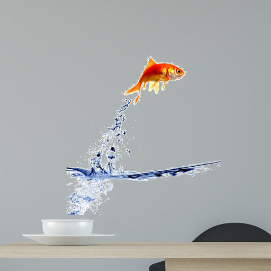 goldfish jumping out of the water
