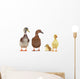 duck
