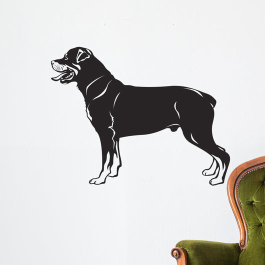 Rottweiler dog breed Wall Decal