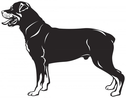 Rottweiler dog breed Wall Decal