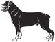 Rottweiler dog breed Wall Decal
