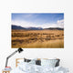 Wide open range land just west of Denver, Colorado. Wall Mural
