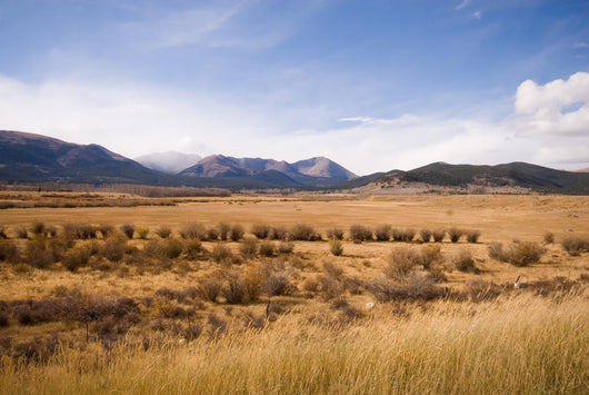 Wide open range land just west of Denver, Colorado. Wall Mural