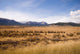Wide open range land just west of Denver, Colorado. Wall Mural