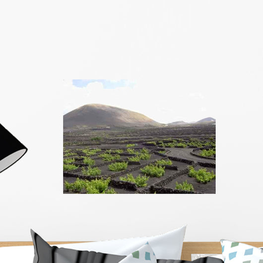 Blick Auf Die Weinberge Wall Decal