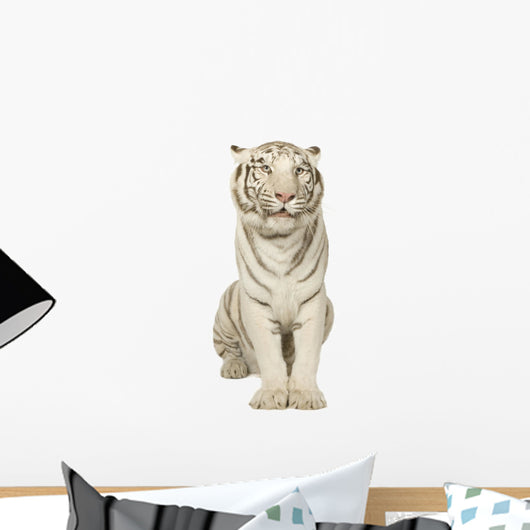 White Tiger (3 years) Wall Decal