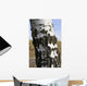 Birkenstamm Wall Mural