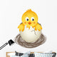 Little Chicken