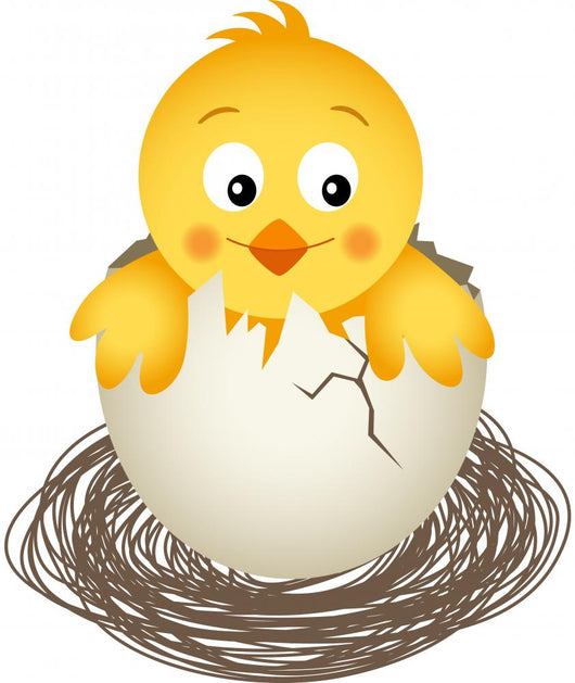 Little Chicken
