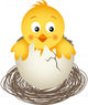 Little Chicken