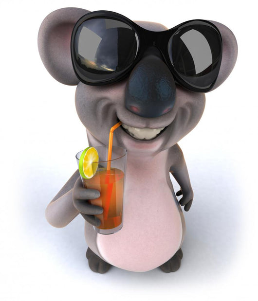 Koala