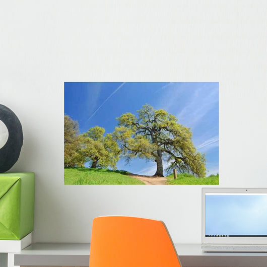 Oak Trees Spring Wall Decal