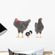 grey hens